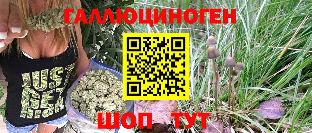 Галлюциногенные грибы GOLDEN TEACHER Темрюк