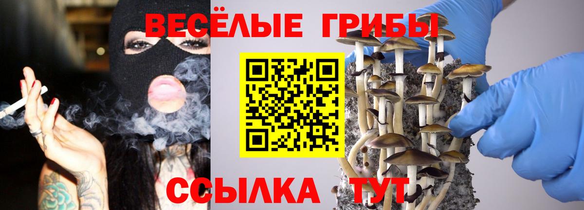 Псилоцибиновые грибы мицелий  Галлюциногенные грибы мицелий  Вход с VPN  Темрюк 